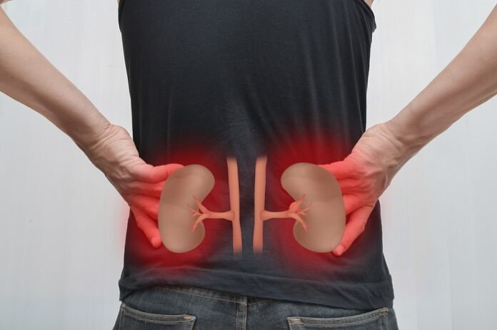 Natural Remedies For Kidney Pain AHealthGuide