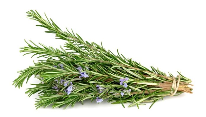 Rosemary supports cancer prevention