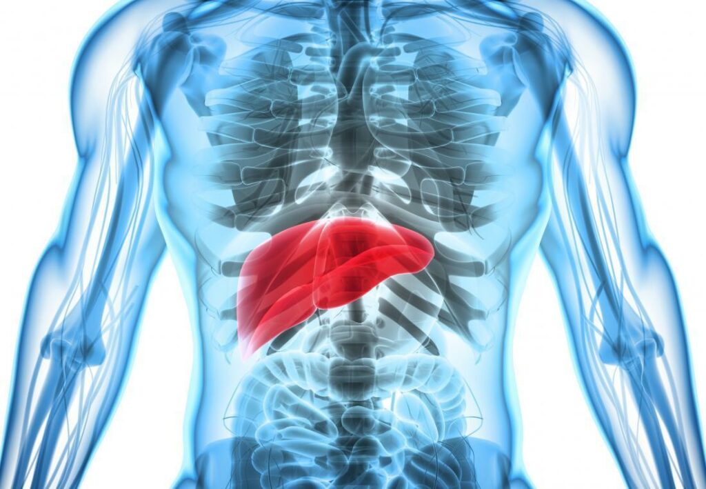 what-is-and-what-are-the-symptoms-of-an-enlarged-liver